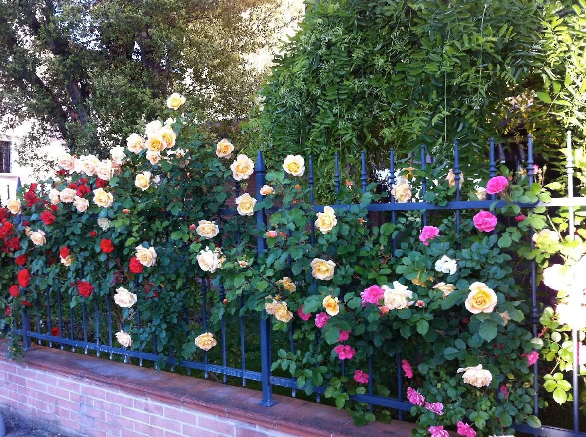 Bb Penny Bed & Breakfast Forli